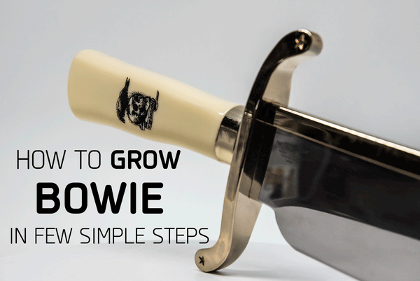 How To Grow Your Own Bowie